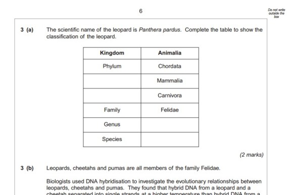 taxonomic-ranks