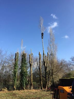 WhatsApp Image 2018-02-15 at 20.49.39